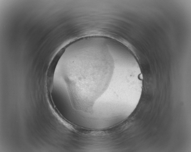 X0000062891142200601271641