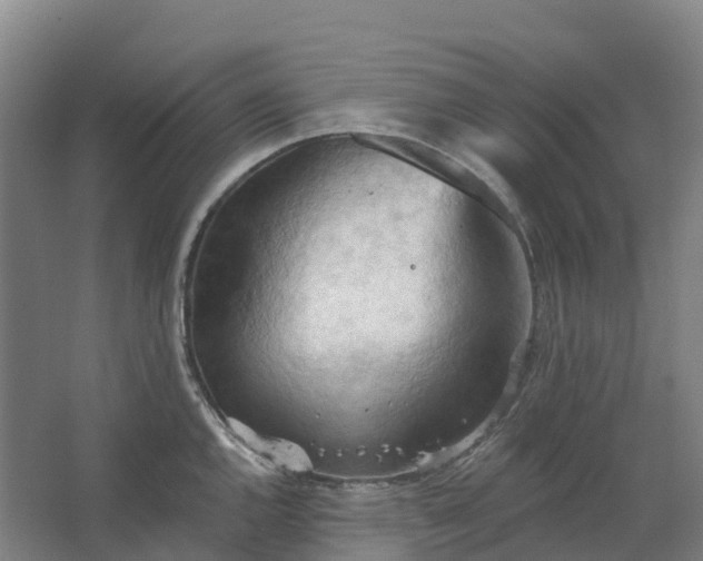 X0000062891144200601271641