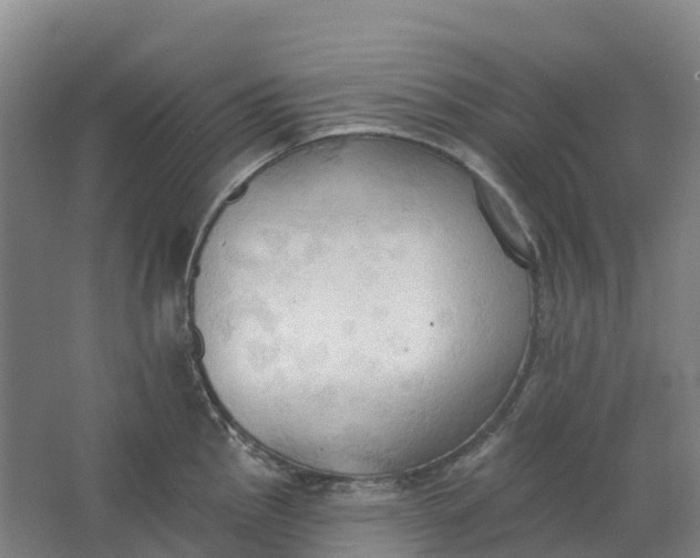 X0000062891145200601271641