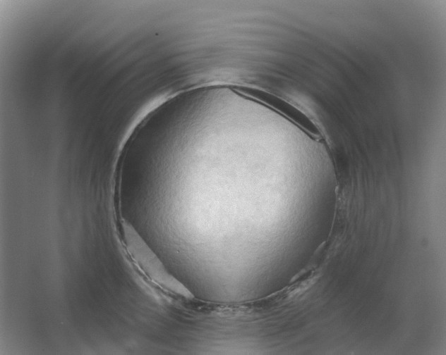 X0000062891146200601271641