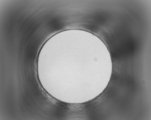 X0000062891150200601271641