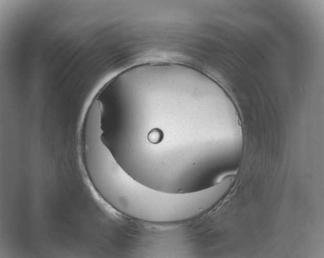 X0000062891152200601271641