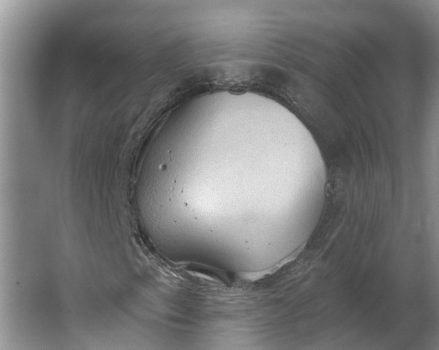 X0000062891153200601271640