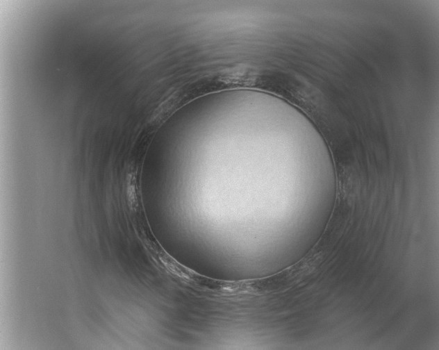 X0000062891154200601271640