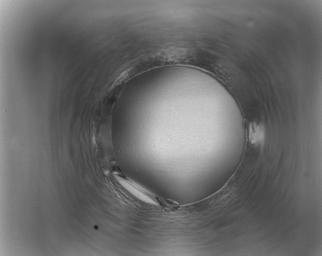 X0000062891155200601271640