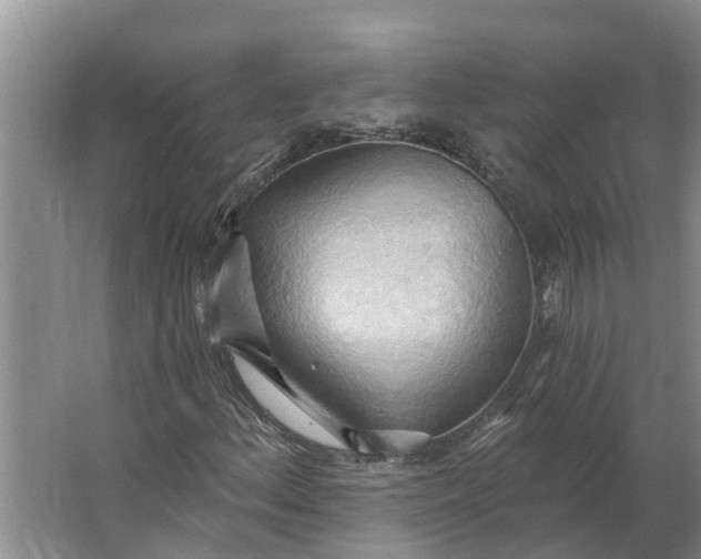 X0000062891156200601271640