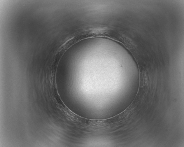 X0000062891158200601271640