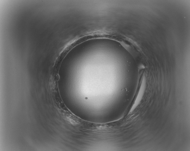 X0000062891160200601271640