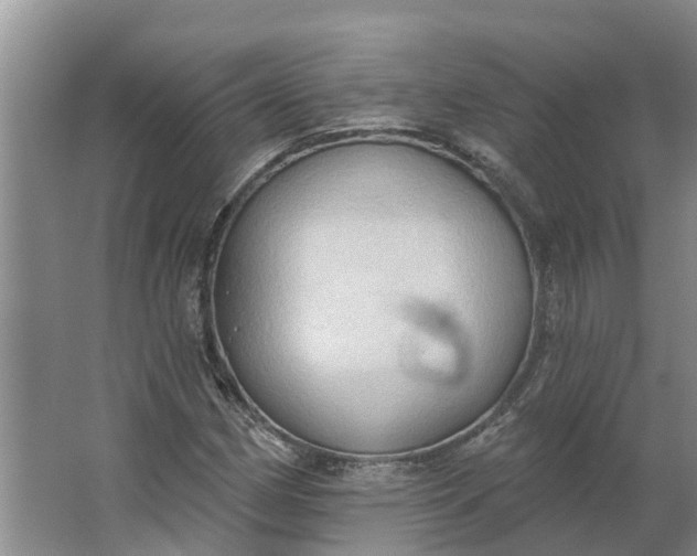 X0000062891162200601271640