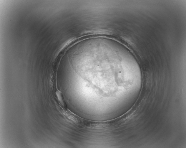 X0000062891163200601271640