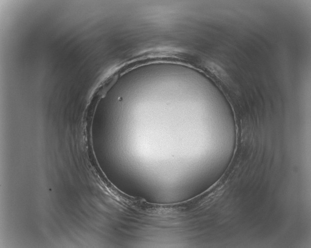 X0000062891164200601271640