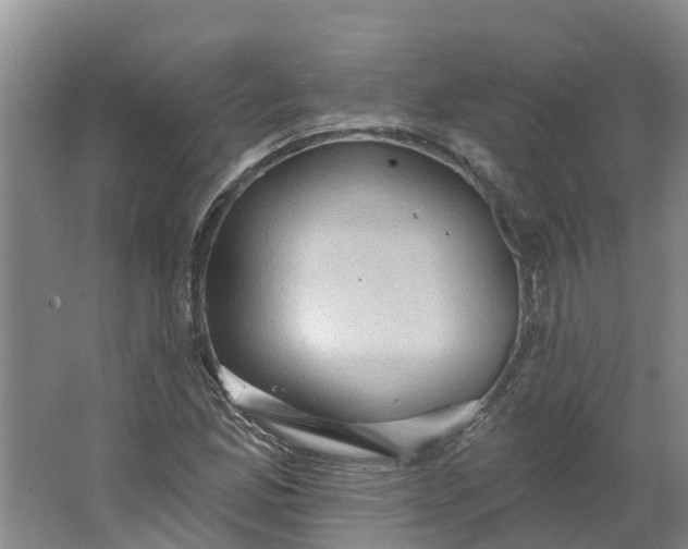 X0000062891165200601271640