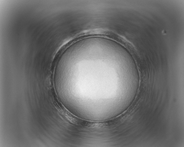 X0000062891166200601271640