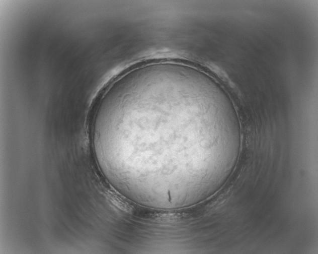 X0000062891167200601271640