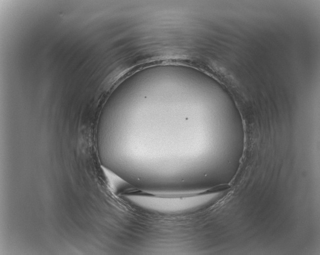 X0000062891169200601271640