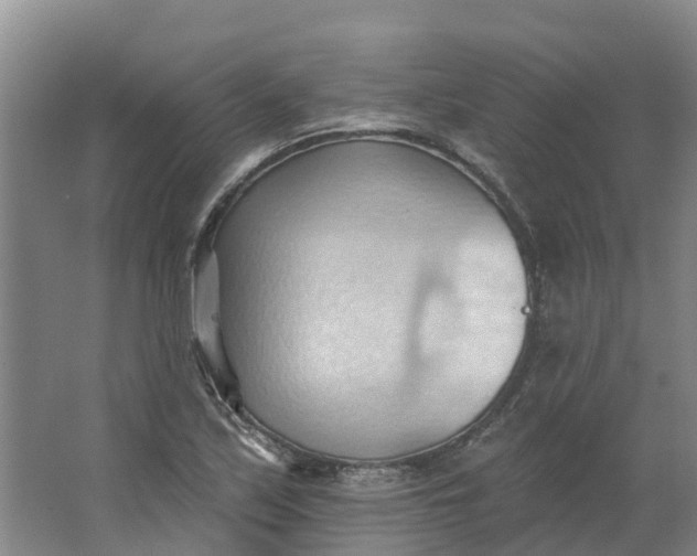 X0000062891171200601271640