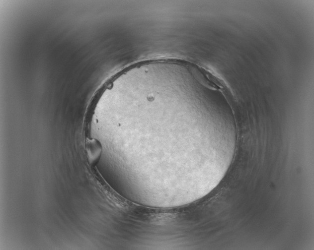 X0000062891173200601271640