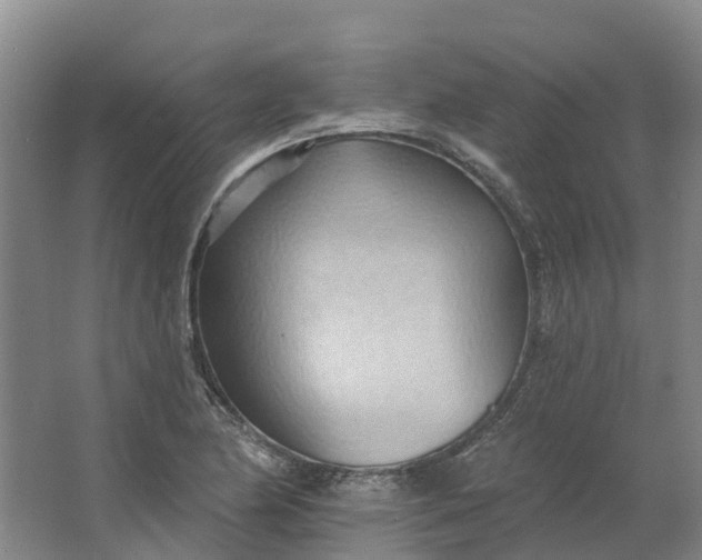 X0000062891174200601271640