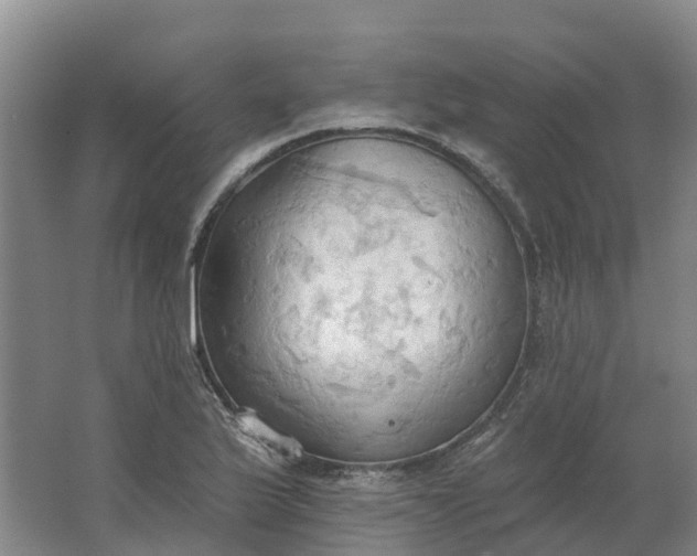 X0000062891175200601271640