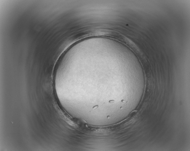 X0000062891178200601271640