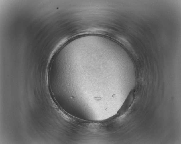 X0000062891180200601271640