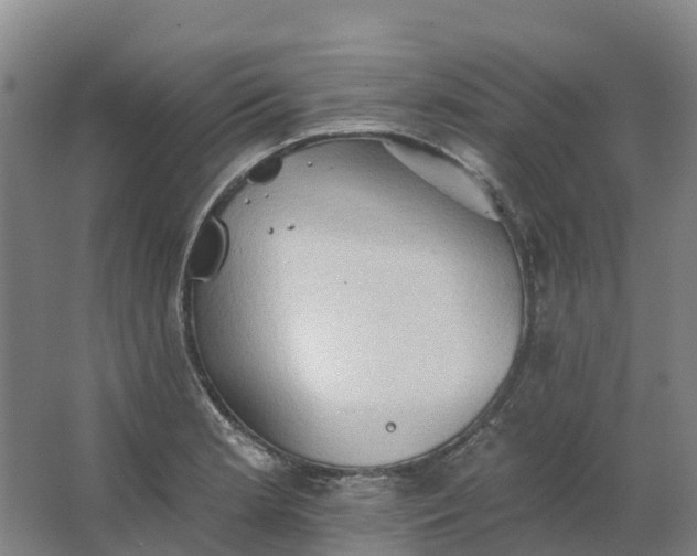 X0000062891181200601271640