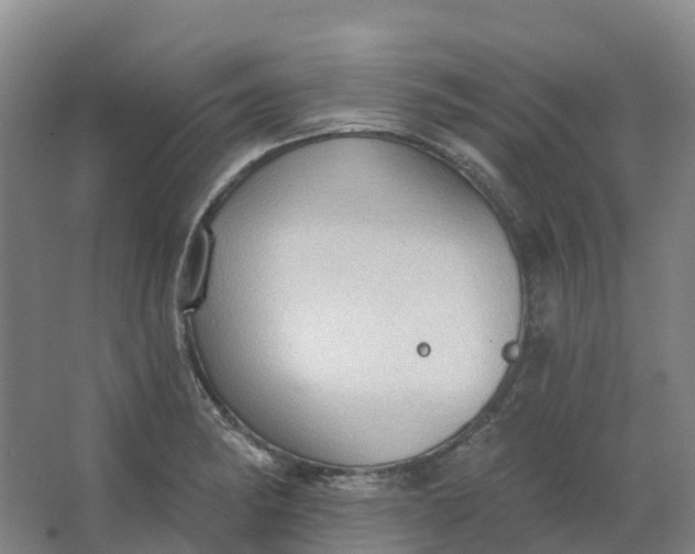 X0000062891182200601271640