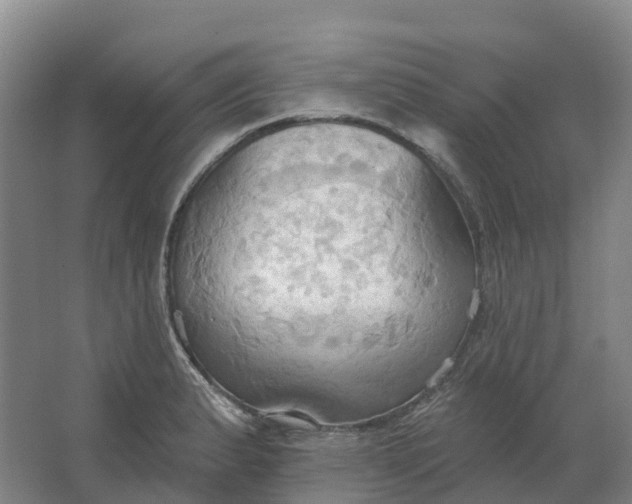 X0000062891183200601271640