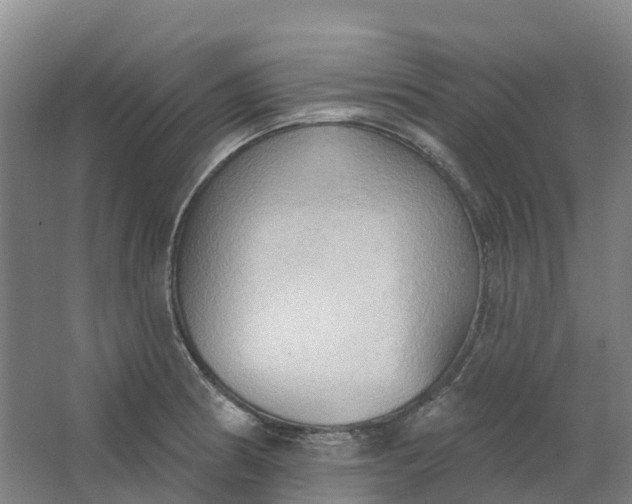 X0000062891186200601271640