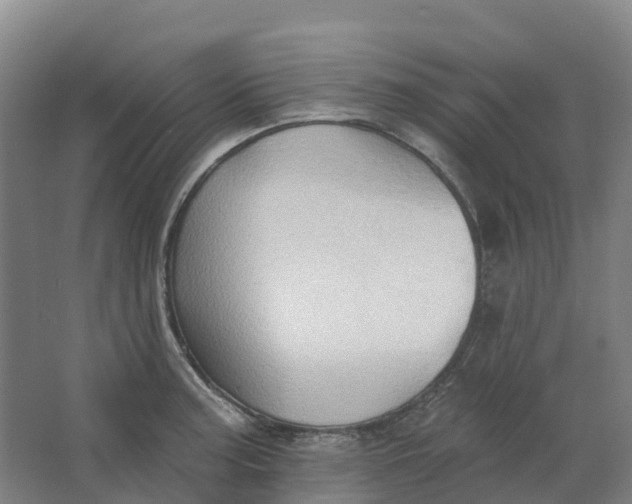 X0000062891187200601271640