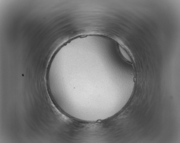 X0000062891189200601271640