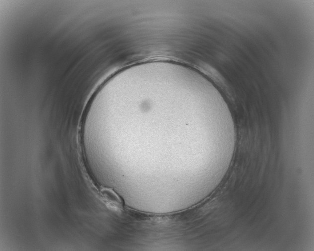 X0000062891190200601271640