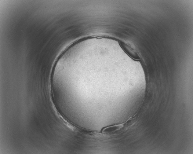 X0000062891191200601271640