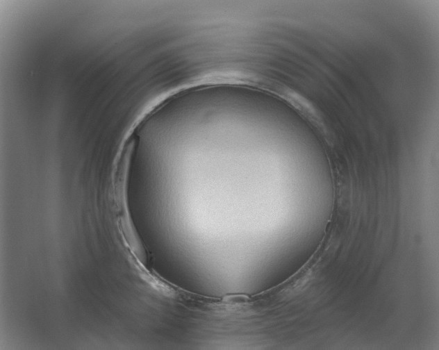 X0000062891192200601271640