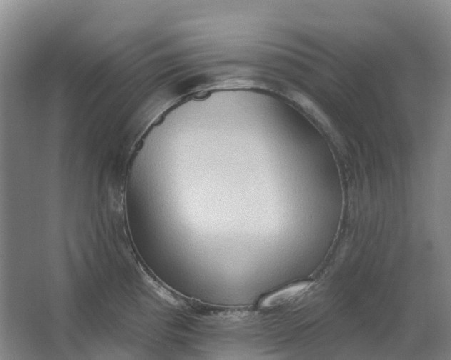 X0000062891193200601271639