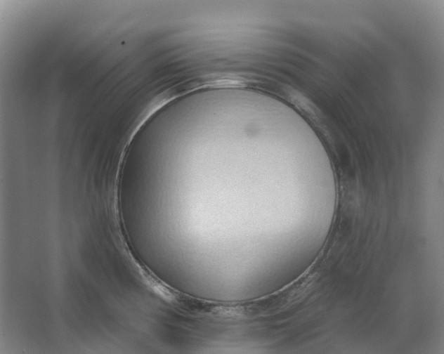 X0000062891194200601271639