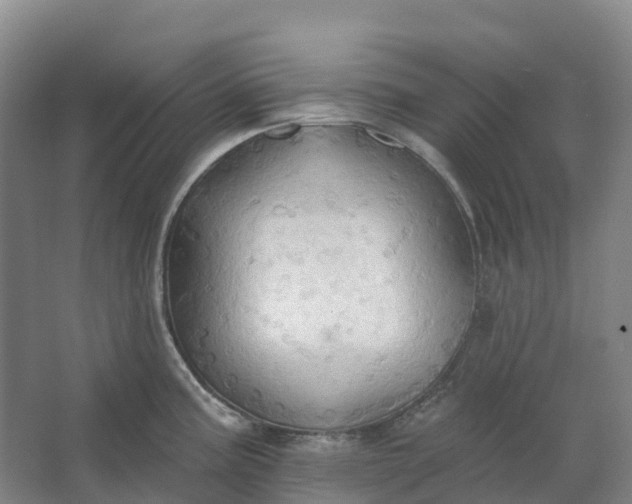 X0000062891195200601271639