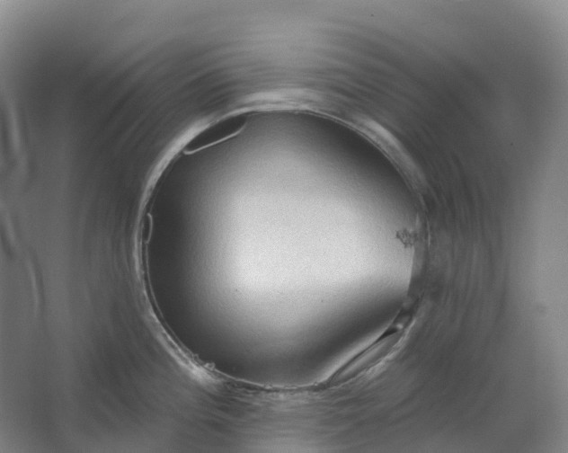 X0000062891196200601271639