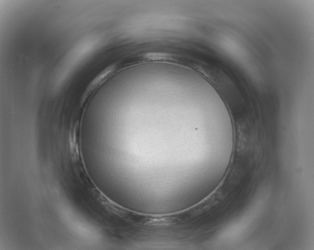 X0000062891198200601271639