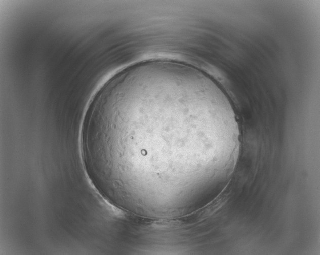 X0000062891199200601271639