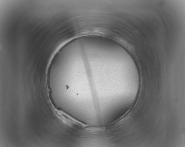 X0000062891200200601271639