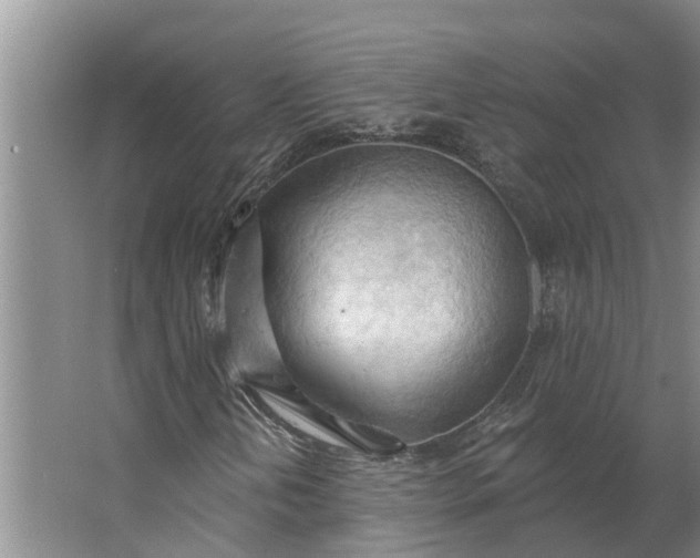 X0000062891202200601271639