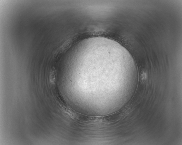 X0000062891204200601271639