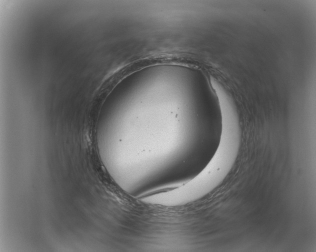 X0000062891206200601271639