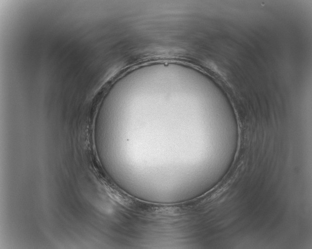 X0000062891211200601271639