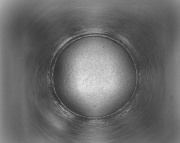 X0000062891212200601271639