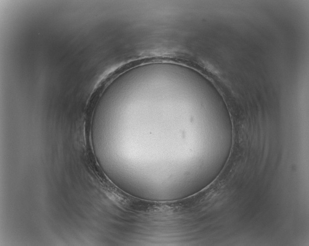 X0000062891214200601271639