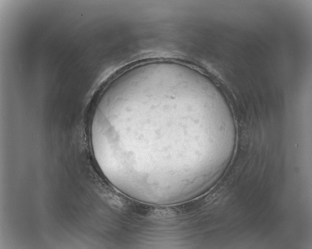 X0000062891215200601271639