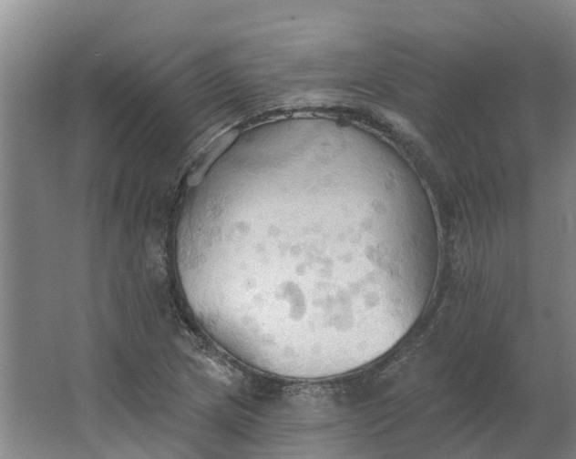 X0000062891217200601271639