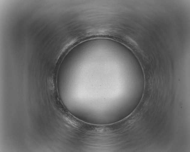 X0000062891218200601271639